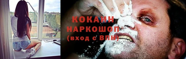 прущие крисы Богданович
