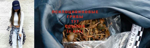 прущие крисы Богородск